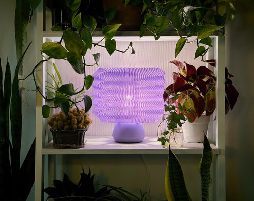 Lavender Bellows Weave Lamp illuminated on a shelf, styled with plants