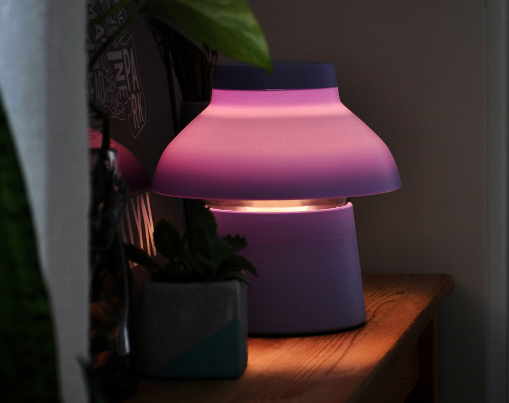 Lavender Zen Lamp illuminated on a table, styled with a poster and plants.