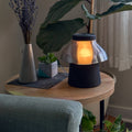 Transparent smoke gray Zen lamp illuminated on a living room side table, styled with plants